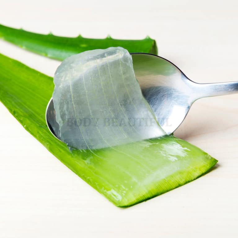 a spoon scooping the juicy flesh of an Aloe Vera leaf